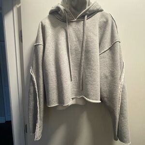 ALO Yoga Light Gray Cropped Hoodie